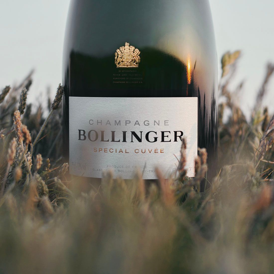 Champagne Bollinger : la puissance maîtrisée d’une grande maison