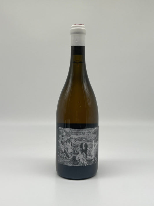 Christophe Pichon Condrieu Pur 100