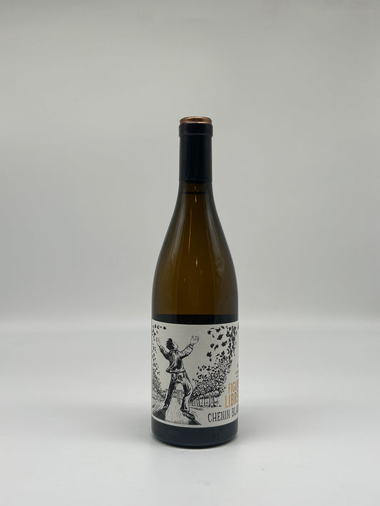Gayda Free Form Chenin Blanc