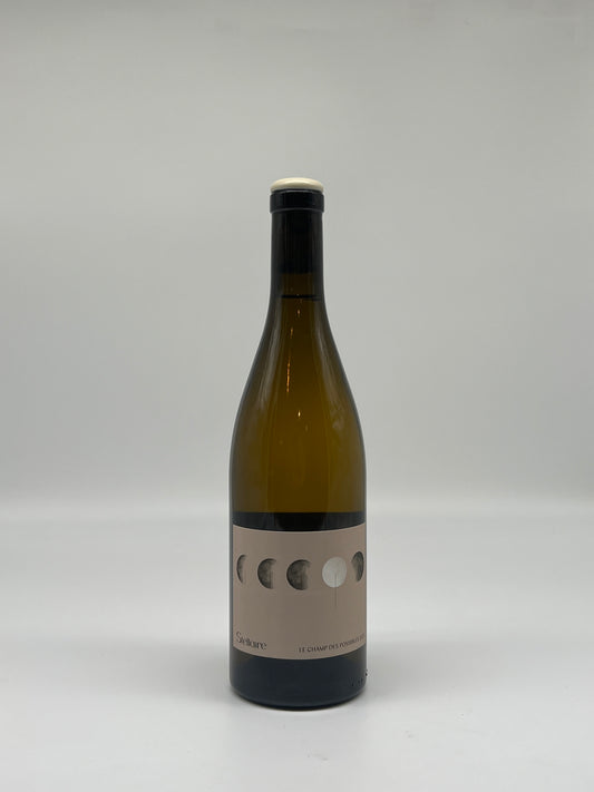 Stellaire Le Champ Des Possibles