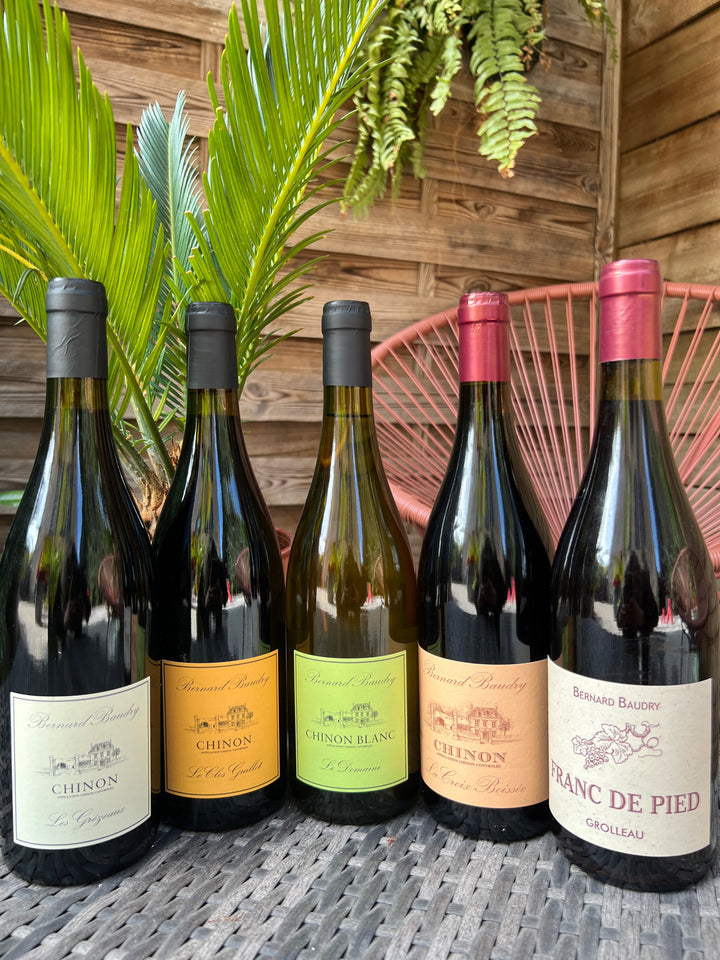 Bernard Baudry : cinq cuvées pour explorer les terroirs de Chinon