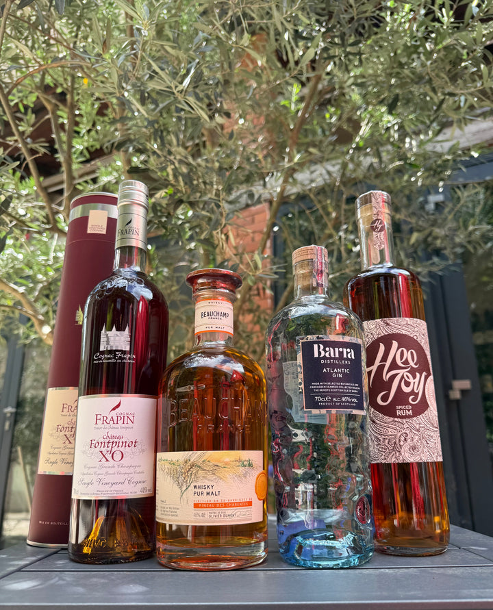 Cognac, whisky, gin ou rhum : quel spiritueux choisir ?