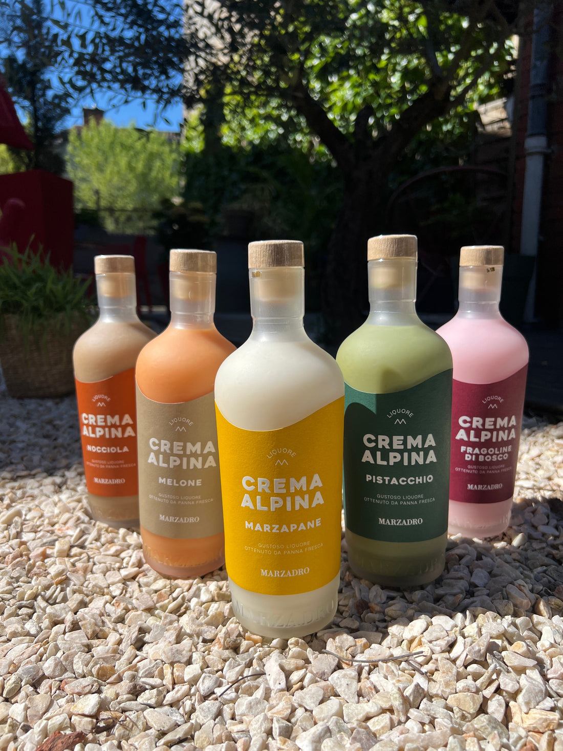 Crema Alpina : la douceur des liqueurs gourmandes