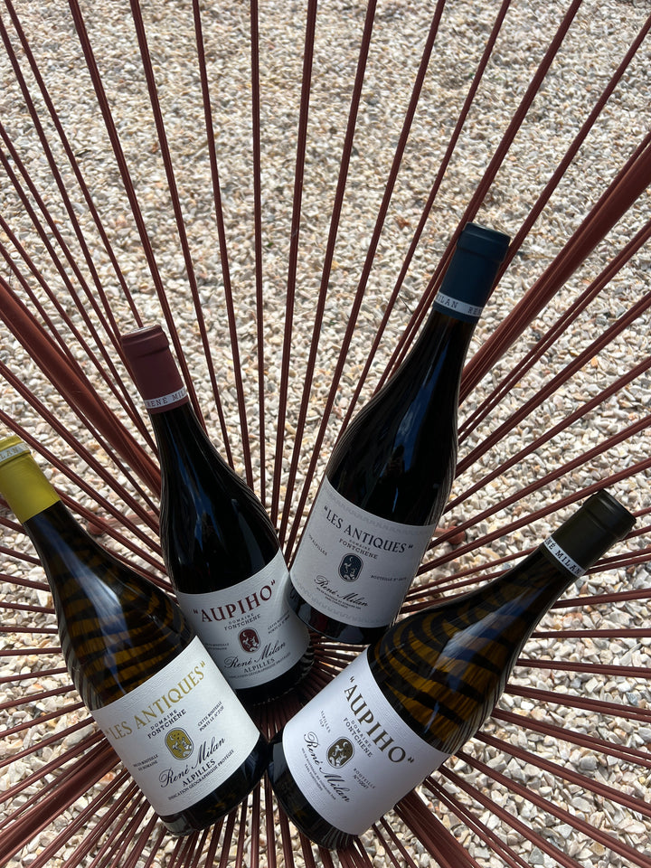 Domaine Fontchêne : Les Antiques et Aupiho, quatre expressions des Alpilles