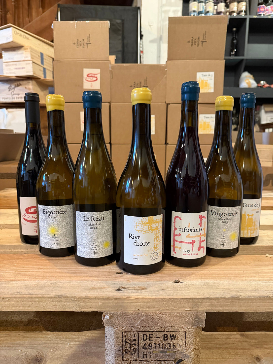 Terra Vita Vinum : des vins vivants au cœur de l’Anjou