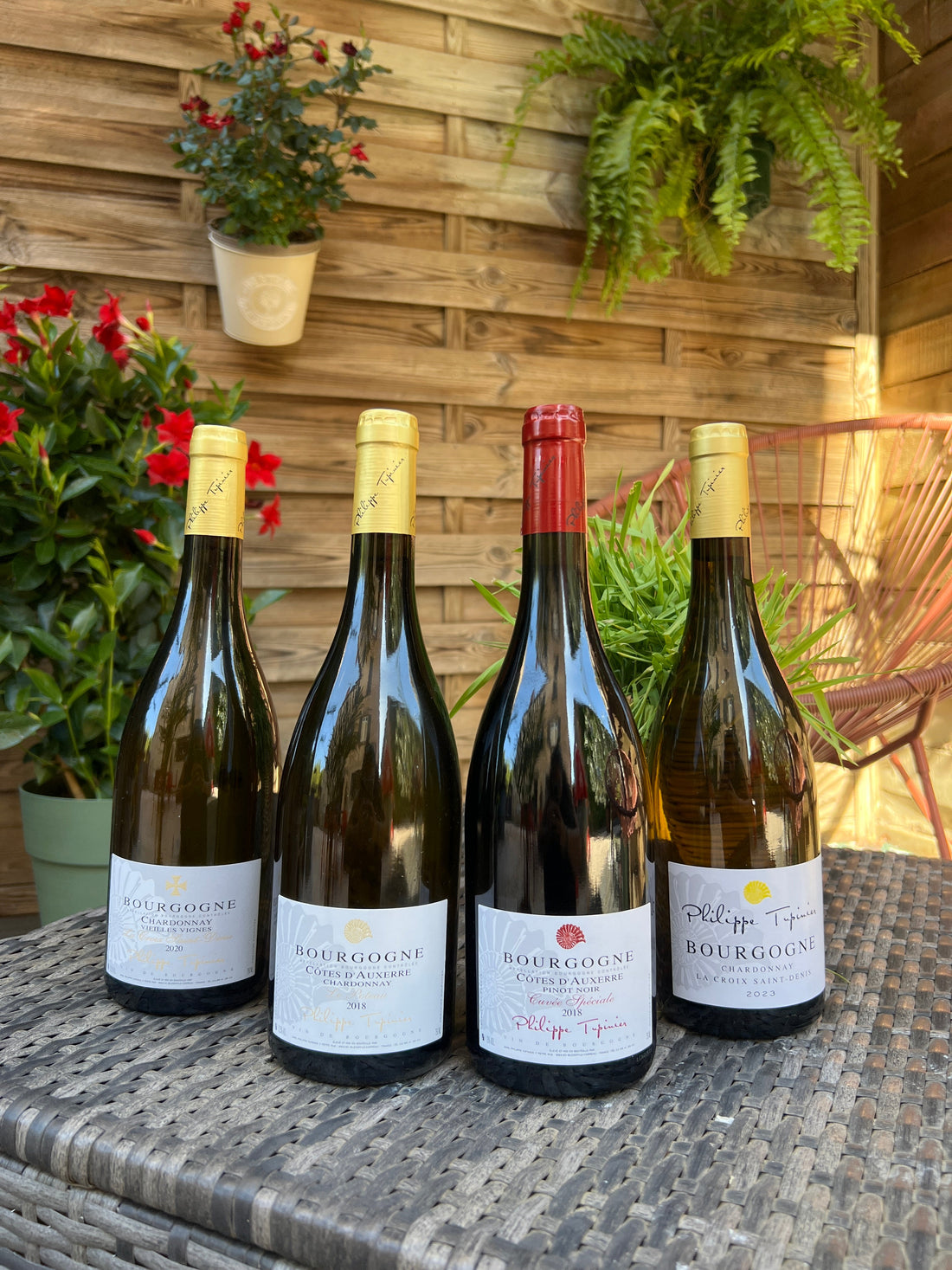 Philippe Tupinier : quatre cuvées pour explorer la Bourgogne