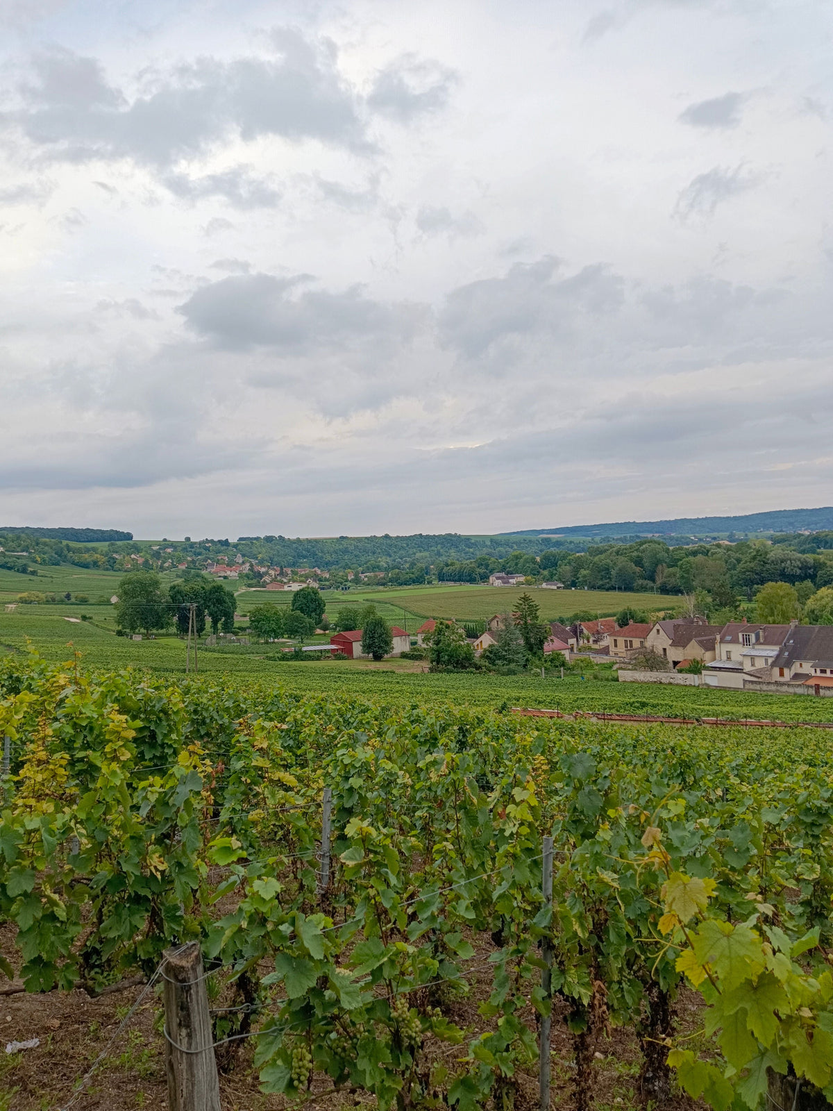 Bourgogne