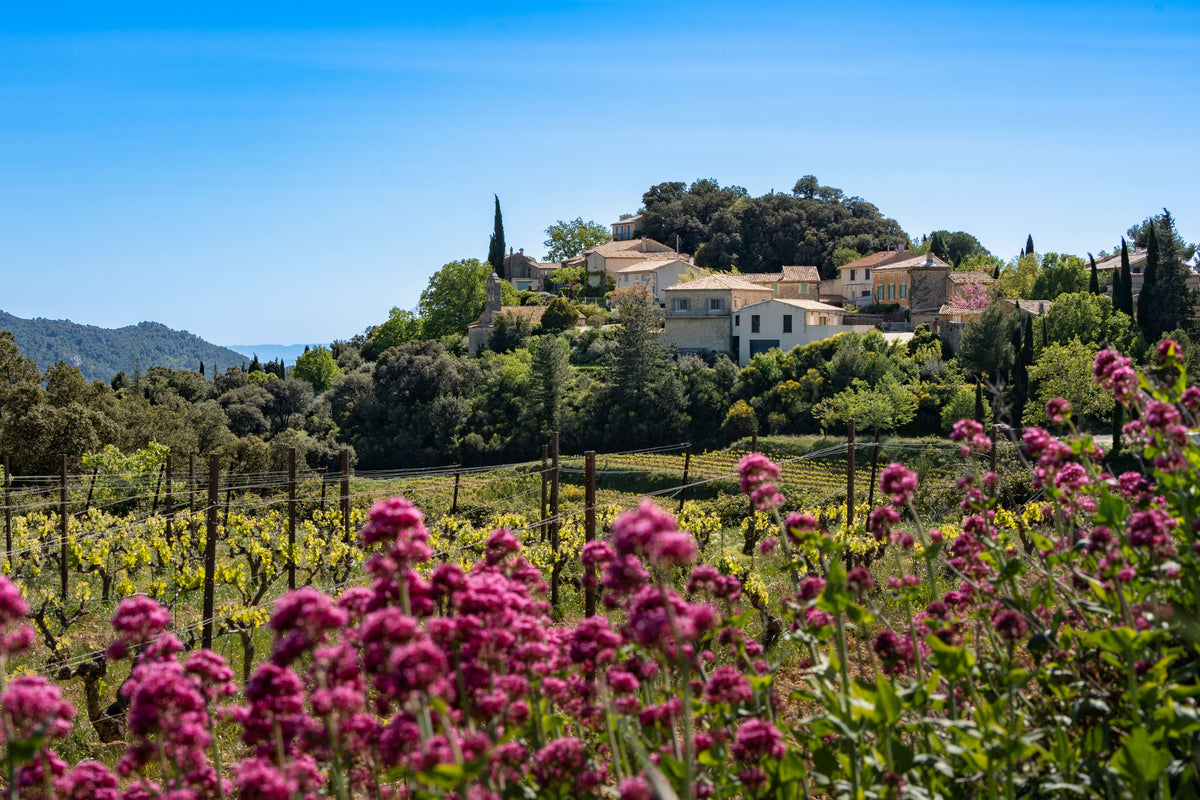 Provence