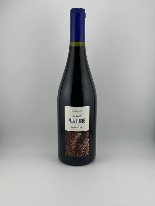 Petit Paon Perché Pinot 2022