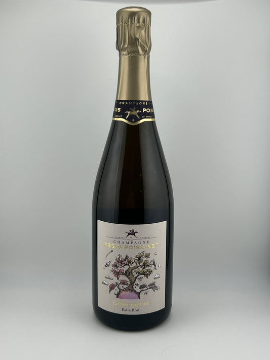 Régis poissinet L'émergente