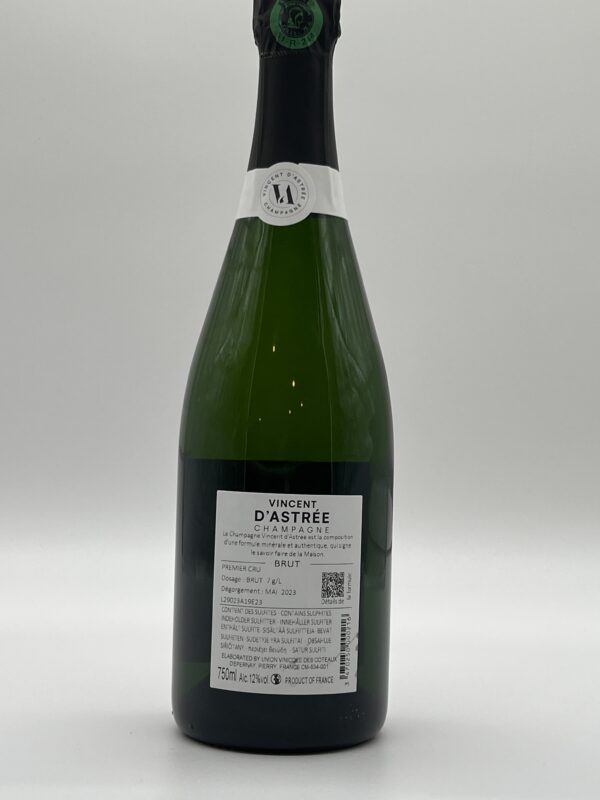 Vincent d'astrée brut